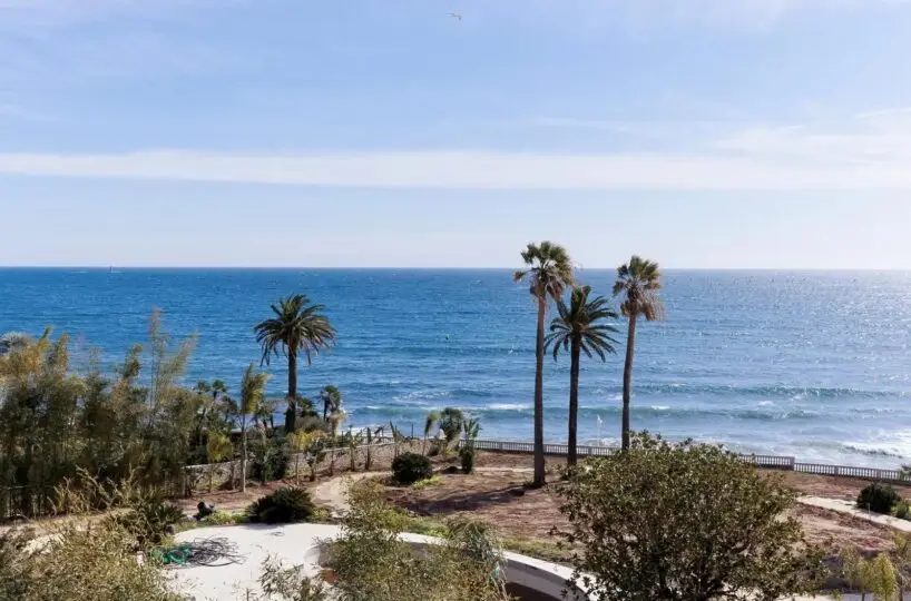 T3 Palm Beach Vue Panoramique