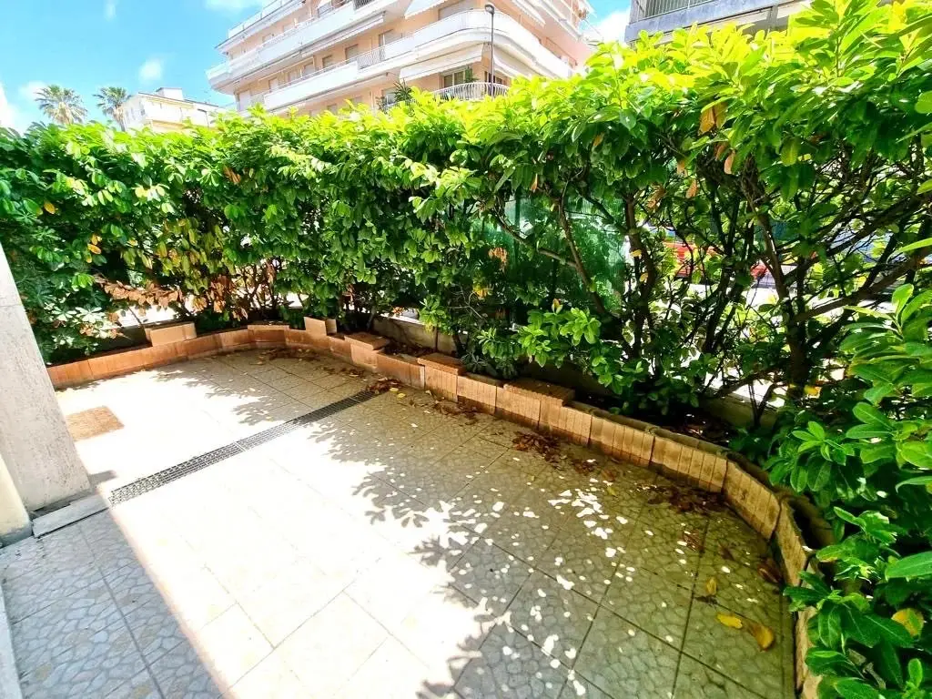 T3 RDJ Palm Beach Terrasse Ensoleillee