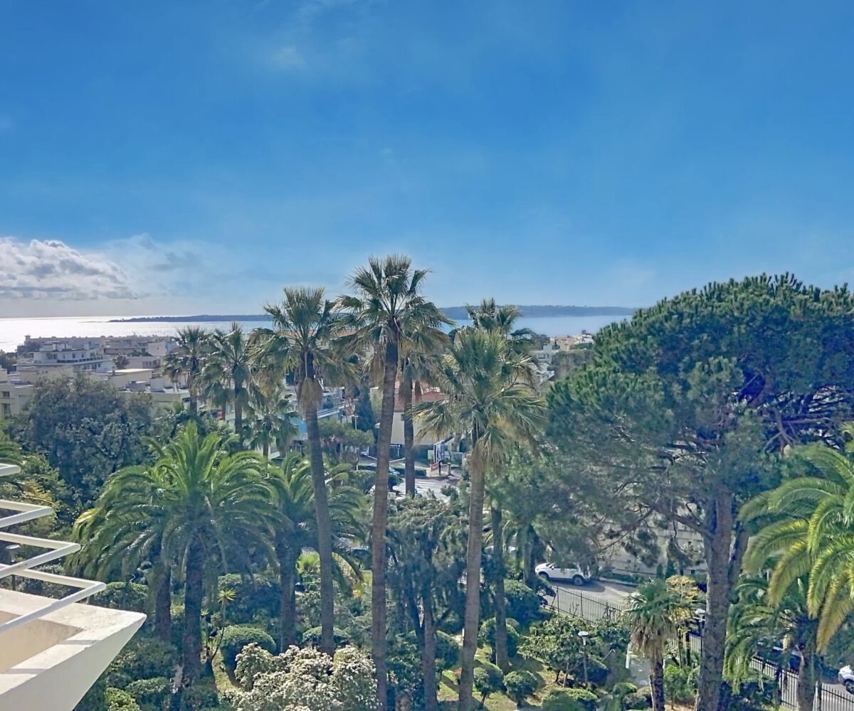 T3 Basse Californie Vue Mer