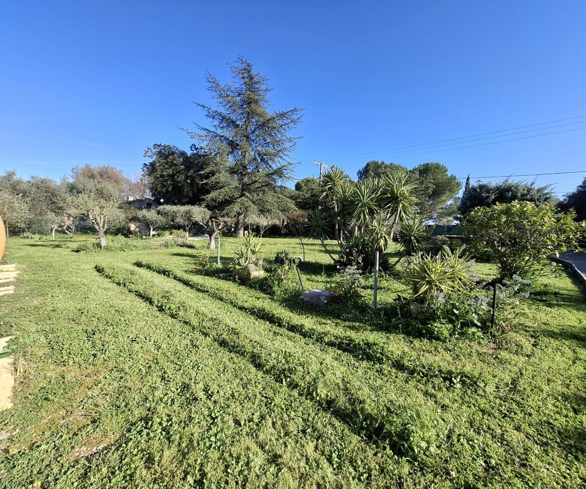 Villa Peymeinade Jardin paysager